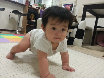 ☆ とうとう始めました (~^~^~)