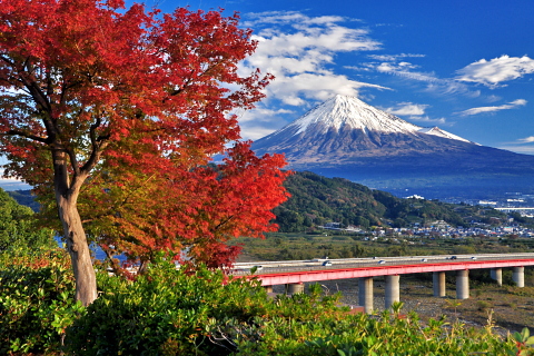 紅葉と雪化粧の富士山! 紅葉と雪化粧の富士山!