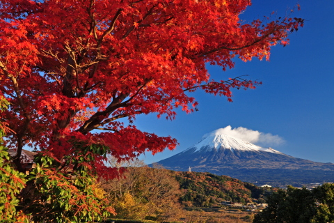 まだ残る紅葉と富士山 まだ残る紅葉と富士山