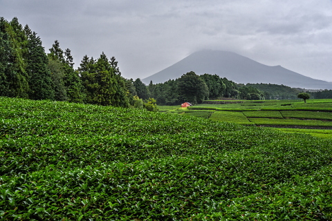 水墨画のような富士山 水墨画のような富士山