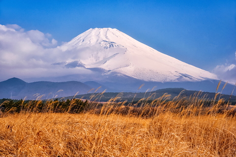 裾野高原からの今朝富士