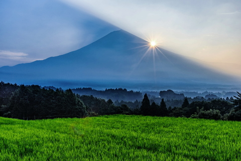 里山の水田からの日の出富士