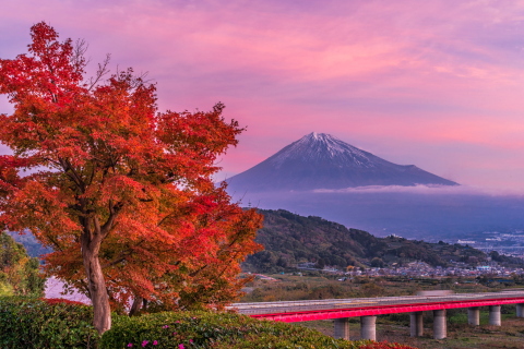朝焼け富士と紅葉 朝焼け富士と紅葉