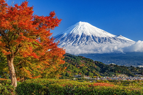 冬富士と紅葉 冬富士と紅葉