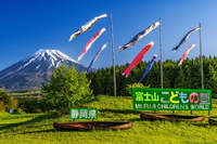 富士山こどもの国のこいのぼり