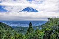 山地からの雲海に浮かぶ富士山