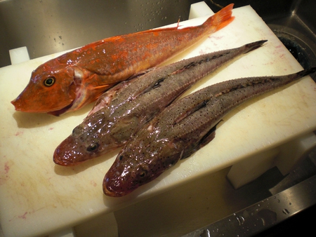 鮮魚入荷 鮮魚入荷