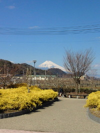 伊豆長岡からの富士山