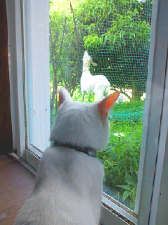 トキ兄ちゃん、、、