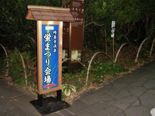 ほたる