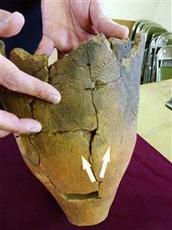 土器にイノシシの線刻画 千葉、縄文時代の貝塚で