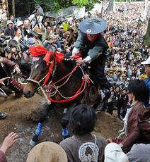 上げ馬神事:「虐待行為根絶を」三重の文化財保護審