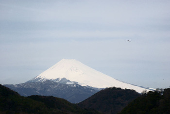 真っ白富士山