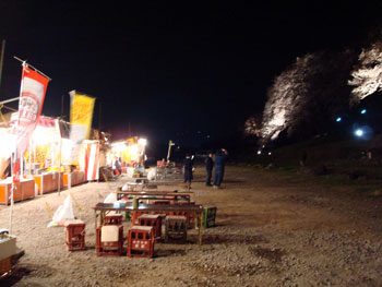 狩野川桜公園情報