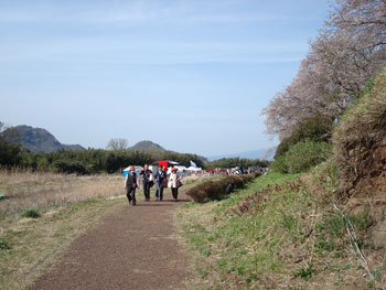 狩野川桜公園情報