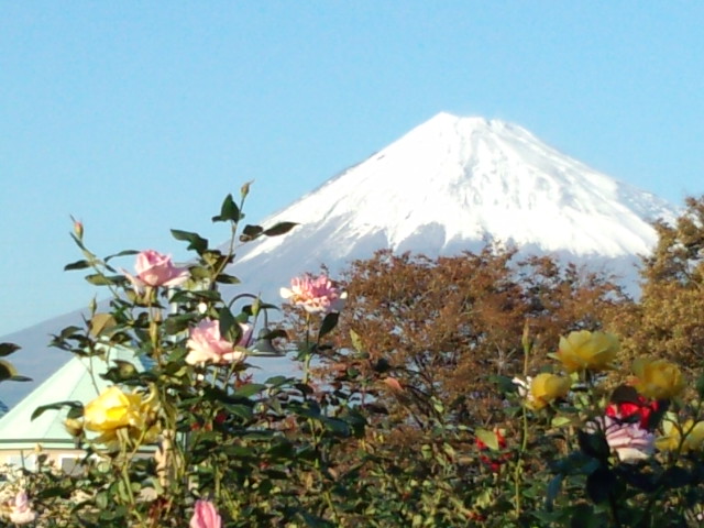 冬の富士山になりました。
