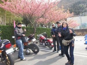 2月25日(日曜日)土肥桜-堂ヶ島ツーリング。おっきーです。 2月25日(日曜日)土肥桜-堂ヶ島ツーリング。おっきーです。