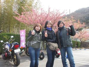 2月25日(日曜日)土肥桜-堂ヶ島ツーリング。おっきーです。 2月25日(日曜日)土肥桜-堂ヶ島ツーリング。おっきーです。