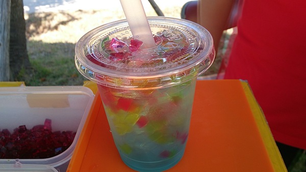 WAKU Fes 2013!~伊豆元気わくわくの森フェスタ(食事編)~☆
