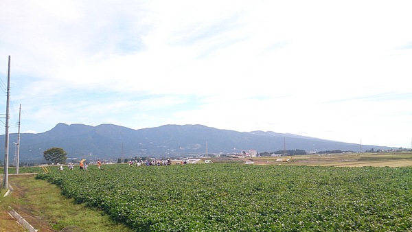 御殿場こしひかり あぜみちウォーキング~田園ウォーク編~♪