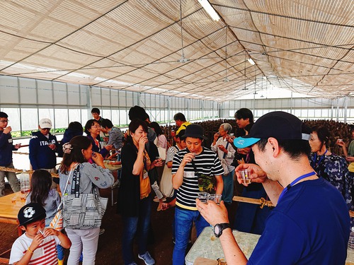 伊豆の原木しいたけ 知って!感じて!味わう! 体験ツアー2019~♪ 伊豆の原木しいたけ 知って!感じて!味わう! 体験ツアー2019~♪
