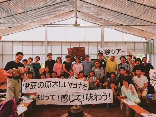 伊豆の原木しいたけ 知って!感じて!味わう! 体験ツアー2019~♪ 伊豆の原木しいたけ 知って!感じて!味わう! 体験ツアー2019~♪