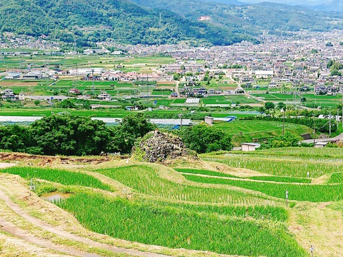 姨捨の棚田@長野県千曲市へ行ってきました!その②!~棚田学会現地見学会~♪ 姨捨の棚田@長野県千曲市へ行ってきました!その②!~棚田学会現地見学会~♪