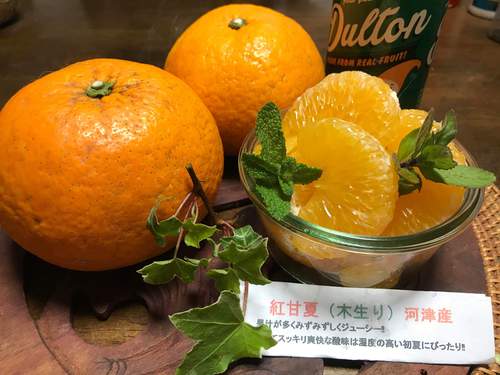伊豆河津・旬の紅甘夏!お取り寄せの方から嬉しいメッセージ! 伊豆河津・旬の紅甘夏!お取り寄せの方から嬉しいメッセージ!