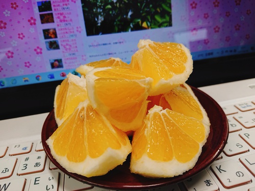 旬の河津産ニューサマーオレンジが爽やかで美味しいです! 旬の河津産ニューサマーオレンジが爽やかで美味しいです!