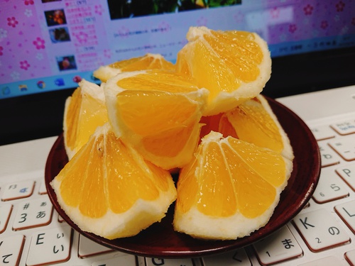 旬の河津産ニューサマーオレンジが爽やかで美味しいです! 旬の河津産ニューサマーオレンジが爽やかで美味しいです!