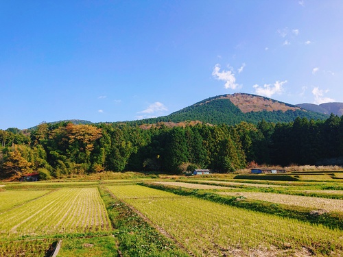 紅葉のかたつむりさんで打合せ〜♪ 紅葉のかたつむりさんで打合せ〜♪