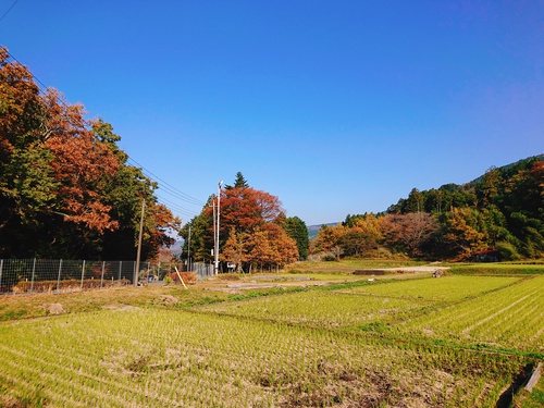 紅葉のかたつむりさんで打合せ〜♪ 紅葉のかたつむりさんで打合せ〜♪