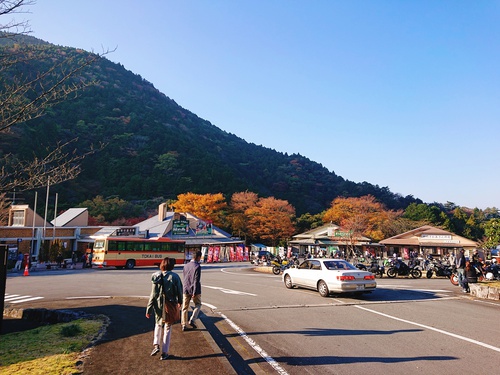 道の駅 天城越え の 紅葉! 道の駅 天城越え の 紅葉!