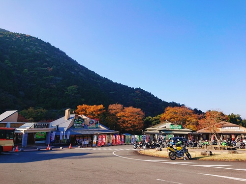 道の駅 天城越え の 紅葉! 道の駅 天城越え の 紅葉!