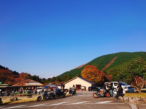 道の駅 天城越え の 紅葉! 道の駅 天城越え の 紅葉!