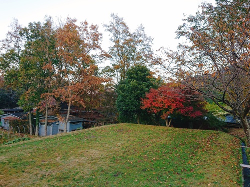 紅葉のかたつむりさんで打合せ〜♪ 紅葉のかたつむりさんで打合せ〜♪