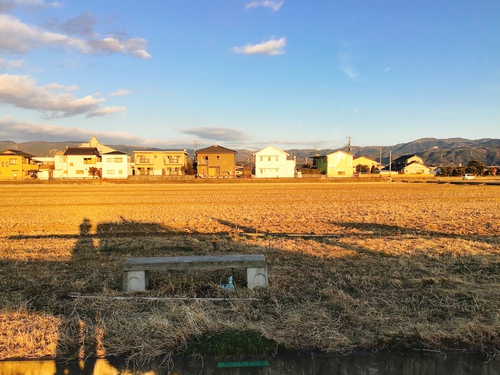 中郷温水池の環境整備事業の現地調査! 中郷温水池の環境整備事業の現地調査!