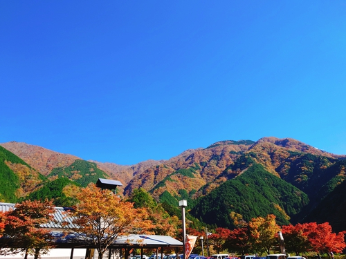 梅ヶ島新田温泉 黄金の湯へ行ってきました! 梅ヶ島新田温泉 黄金の湯へ行ってきました!