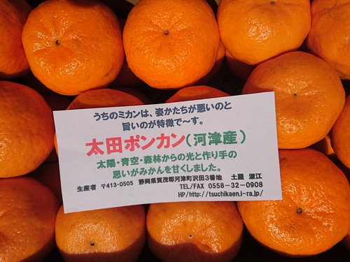 伊豆河津特産ポンカン 今年もありがとうございました! 伊豆河津特産ポンカン 今年もありがとうございました!