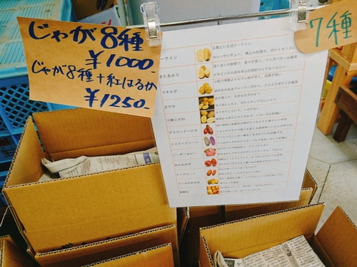 西麓市場@三島市で、箱根西麓三島野菜をゲット! 西麓市場@三島市で、箱根西麓三島野菜をゲット!
