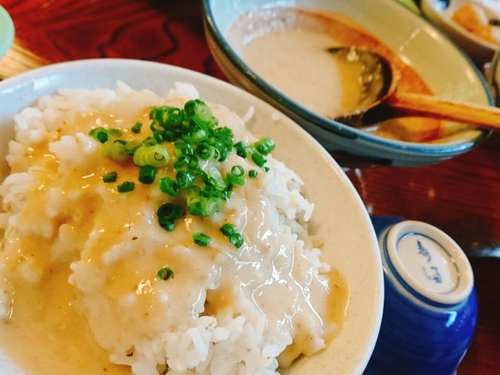名物 とろろ汁!/元祖 丁子屋@静岡市丸子 東海道丸子宿! 名物 とろろ汁!/元祖 丁子屋@静岡市丸子 東海道丸子宿!