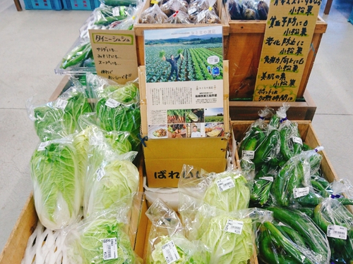 西麓市場@三島市で、箱根西麓三島野菜をゲット! 西麓市場@三島市で、箱根西麓三島野菜をゲット!