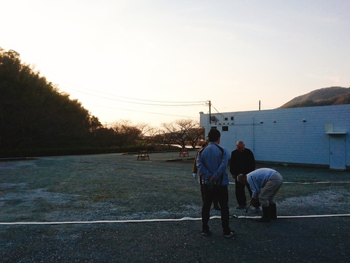 田んぼを使った花畑@松崎町 に 行って来ました! 田んぼを使った花畑@松崎町 に 行って来ました!