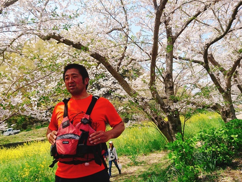 松崎・那賀川の満開桜並木と花畑、そして花見舟~花見舟編~(^^♪ 松崎・那賀川の満開桜並木と花畑、そして花見舟~花見舟編~(^^♪