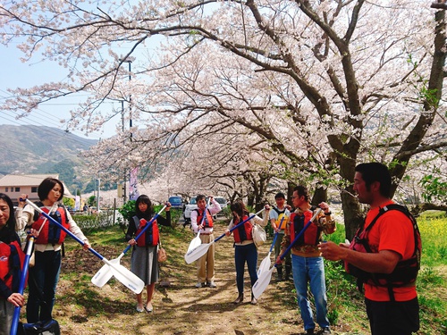 松崎・那賀川の満開桜並木と花畑、そして花見舟~花見舟編~(^^♪ 松崎・那賀川の満開桜並木と花畑、そして花見舟~花見舟編~(^^♪