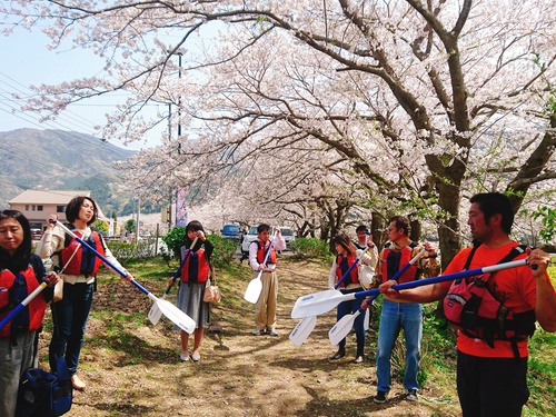 松崎・那賀川の満開桜並木と花畑、そして花見舟~花見舟編~(^^♪ 松崎・那賀川の満開桜並木と花畑、そして花見舟~花見舟編~(^^♪