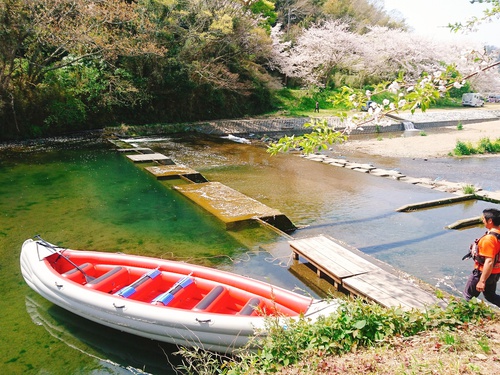 松崎・那賀川の満開桜並木と花畑、そして花見舟~花見舟編~(^^♪ 松崎・那賀川の満開桜並木と花畑、そして花見舟~花見舟編~(^^♪