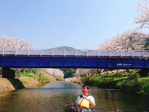 松崎・那賀川の満開桜並木と花畑、そして花見舟~花見舟編~(^^♪ 松崎・那賀川の満開桜並木と花畑、そして花見舟~花見舟編~(^^♪