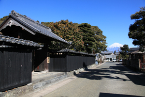 富士山と歩く 間宿岩淵