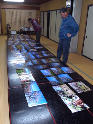 写真コンテスト審査